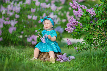Cute blond baby girl enjoying time on a awesome place between lilac syringe bush.Young lady with basket full of flowers dressed in jeans and stylish shirt relaxing in a cloud of scent.