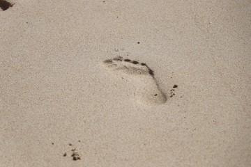 Fototapeta na wymiar Foot print on sand nice sand 