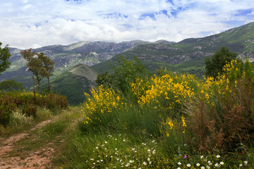Пейзаж горных холмов весной.