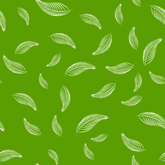 Seamless Pattern from Leaves, Line Style Design, White Leaf on Green Background, Summer and Spring Time, Vector Illustration