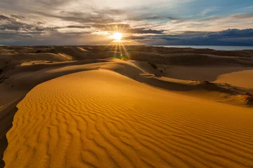 Zelfklevend Fotobehang Beautiful views of the desert landscape. Gobi Desert. Mongolia © Anton Petrus