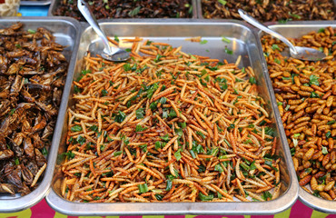 Fototapeta premium Fried insects, Thailand famous street food.