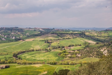 Fototapeta premium Pienza - Toscana - Italien