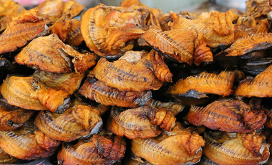 Natural Drying of salted fish, Preserve dry fish, Brown Grilled fish.