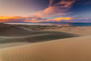 Fototapeta na wymiar Beautiful views of the desert landscape. Gobi Desert. Mongolia