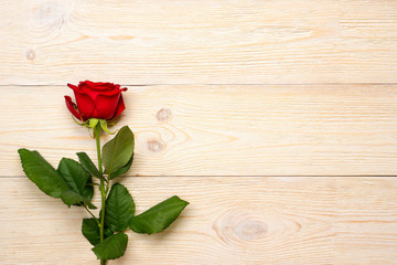 single red rose over white rustic wood planks