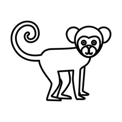 Titi monkey isolated icon vector illustration design
