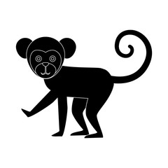 Titi monkey isolated icon vector illustration design