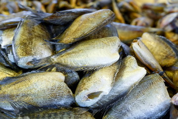 dried salted damsel fish,Trichogaster pectoralis .