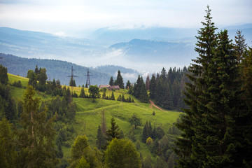 Ukrainian landscape