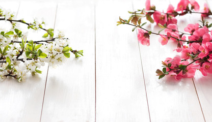 
Spring pink and white flowers on a light wooden background with copy space. Blooming Spring Wooden Background