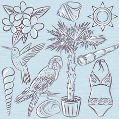Set of  summer symbols, swim suit, parrot, Hummingbird, palm tree, flowers on a blue  grunge background, vector