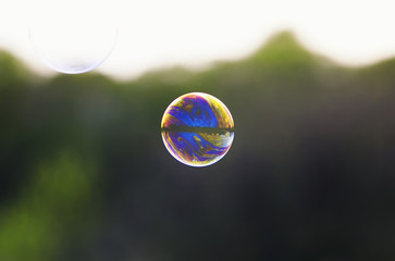 bright iridescent soap bubble with reflections of flying on a bright summer meadow on a Sunny day