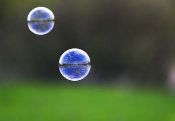 colorful soap bubble with reflection of the landscape and the sky flying on a bright summer meadow on a Sunny day