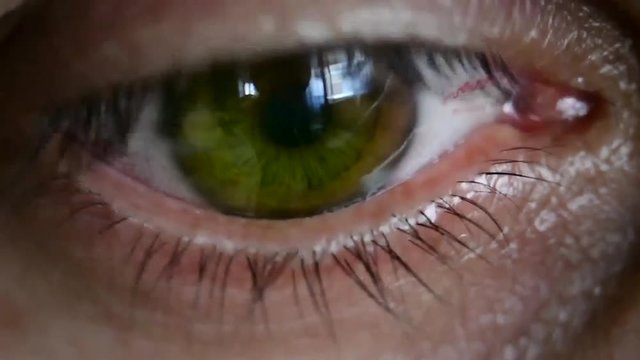 Human, green healthy eye macro