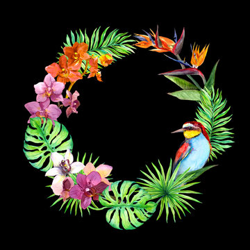 Tropical leaves, exotic birds, orchid flowers. Jungle wreath. Watercolor