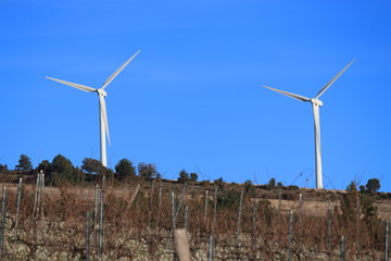 Eoliennes dans les vignes, Aude, France
