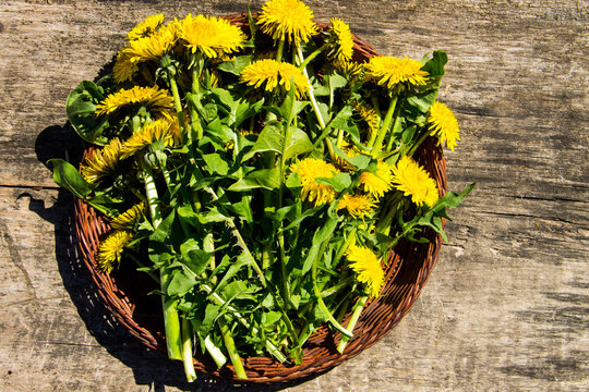 Fototapeta Yellow dandelion flowers in basket on rustic wooden background. Top view