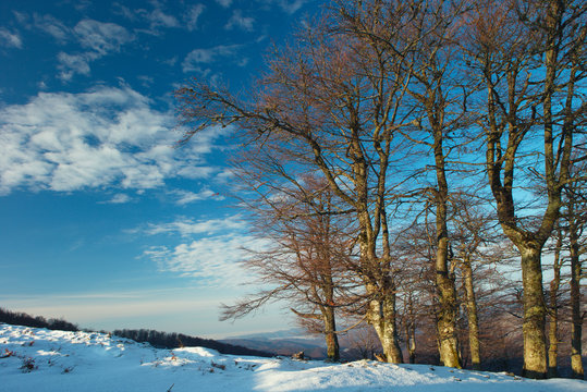 Fototapeta early spring in the mountains