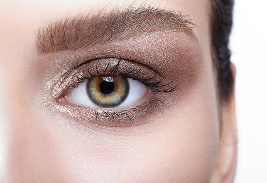 Female eye zone and brows with day makeup