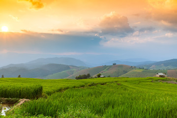 Terraced Rice Field with Hut and Mountain Background , Chiang Mai in Thailand ,Blur Background

