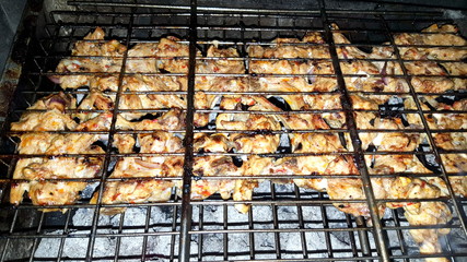Iranian chicken Barbecue with onion and chilly in the park
