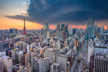 Fototapeta na wymiar Tokyo. Cityscape image of Tokyo, Japan during sunset.