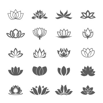 Fototapeta Abstract vector lotus flower symbol icon set