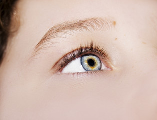 Obraz premium A beautiful insightful look eye. Close up shot