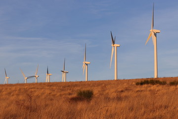 Parc d' éolienne dans l'Aude, Occitanie dans le sud de la France