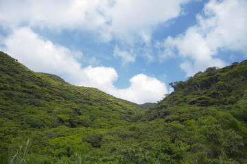 Mt. Yuwantake and other mountains