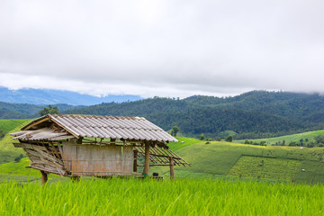 Plakat Terraced Rice Field with Hut and Mountain Background , Chiang Mai in Thailand ,Blur Background