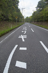 Naklejka premium 奄美大島 国道58号線