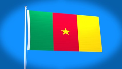 the national flag of Cameroon
