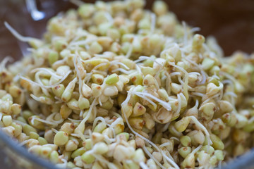 Sprouted buckwheat