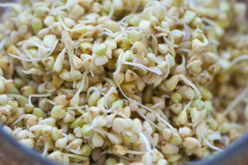 Sprouted buckwheat