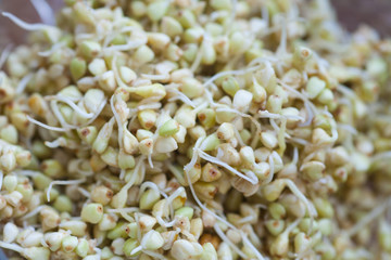 Sprouted buckwheat