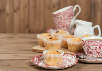 Home Baked Muffins With Coconut, Cranberry, White Chocolate.