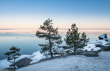 Meereslandschaft mit Bäumen und schönem Abendlicht zur Winterzeit in Finnland © Jani Riekkinen