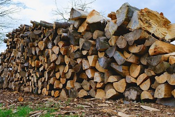The heap of logs. Logging station, texture background