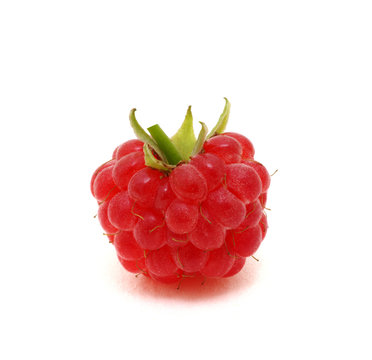  raspberry isolated on white