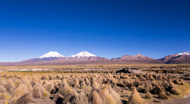 high Andean tundra landscape in the mountains of the Andes.