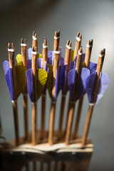 Arrows for an arrow with a wooden rod