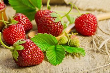 ripe tasty strawberries isolated on burlap background
