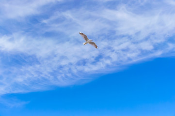 リフー島