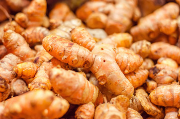 Fresh raw turmeric display on table at market stall for sale