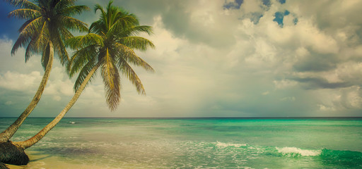 Panele Szklane Podświetlane  tropical beach with coconut palm