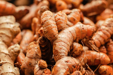 Fresh raw turmeric display on table at market stall for sale