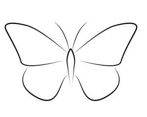 farfalla vettoriale