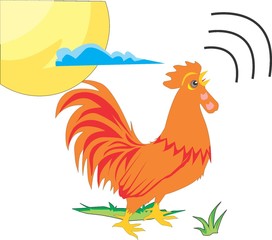rooster